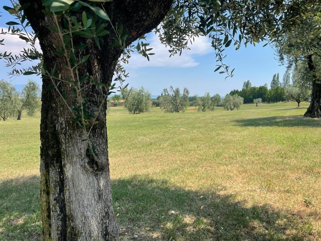 סויאנו דל לאגו Garda Golf Country Chic Home מראה חיצוני תמונה